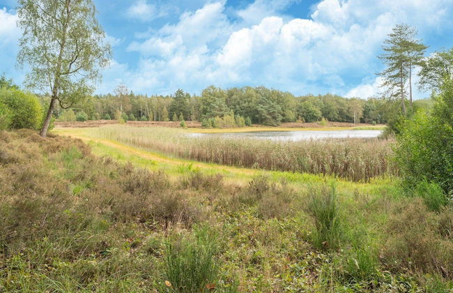 Holiday Home in Reest Valley Near Forest & Pond - Photo 43