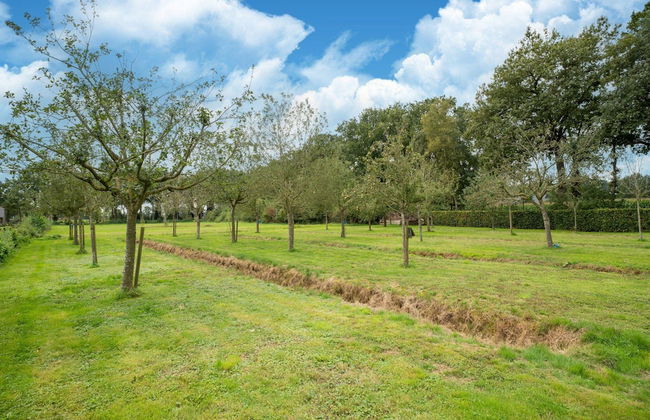 Holiday Home in Reest Valley Near Forest & Pond - Photo 39