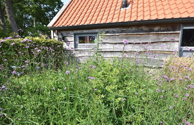 Holiday Home in Reest Valley Near Forest & Pond - Photo 45