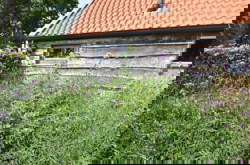 Foto 43 - Monumental Holiday Home in Ijhorst