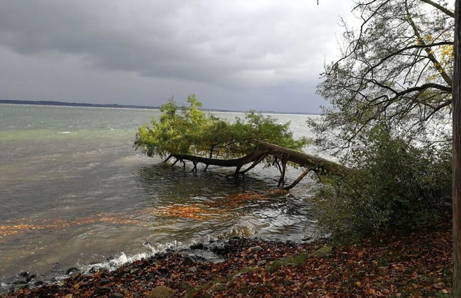 Holiday Home Home Comfortable Vacation Home - Foto 13