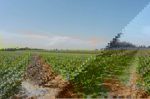 Foto 40 - Domaine La Yole Wine Resort