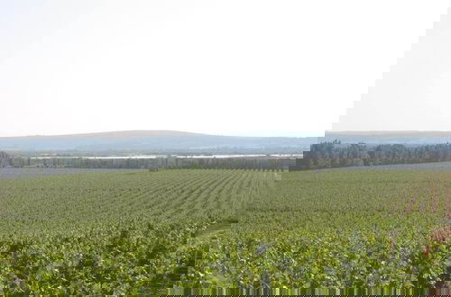Foto 42 - Domaine La Yole Wine Resort