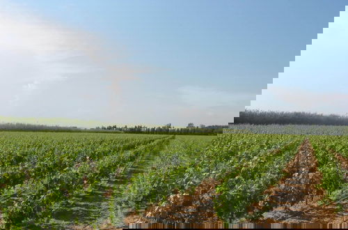 Foto 1 - Domaine La Yole Wine Resort