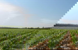 Foto 1 - Domaine La Yole Wine Resort