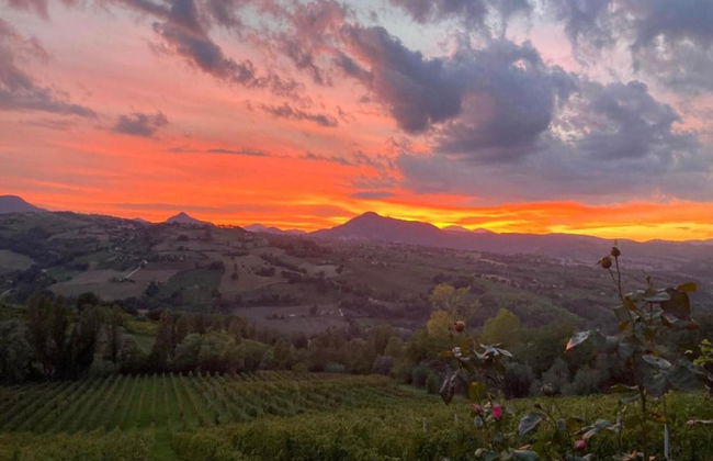 Terrace Retreat in the Marche - Foto 38
