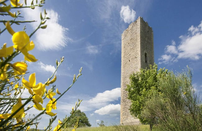 Terrace Retreat in the Marche - Foto 34