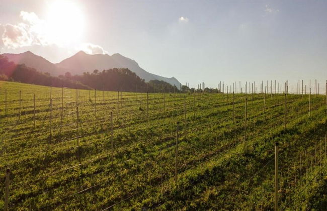 Terrace Retreat in the Marche - Foto 39