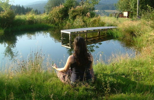 Nesterl Modern Retreat - Foto 3