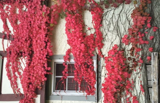 Holiday Home Gardener's House - Foto 11