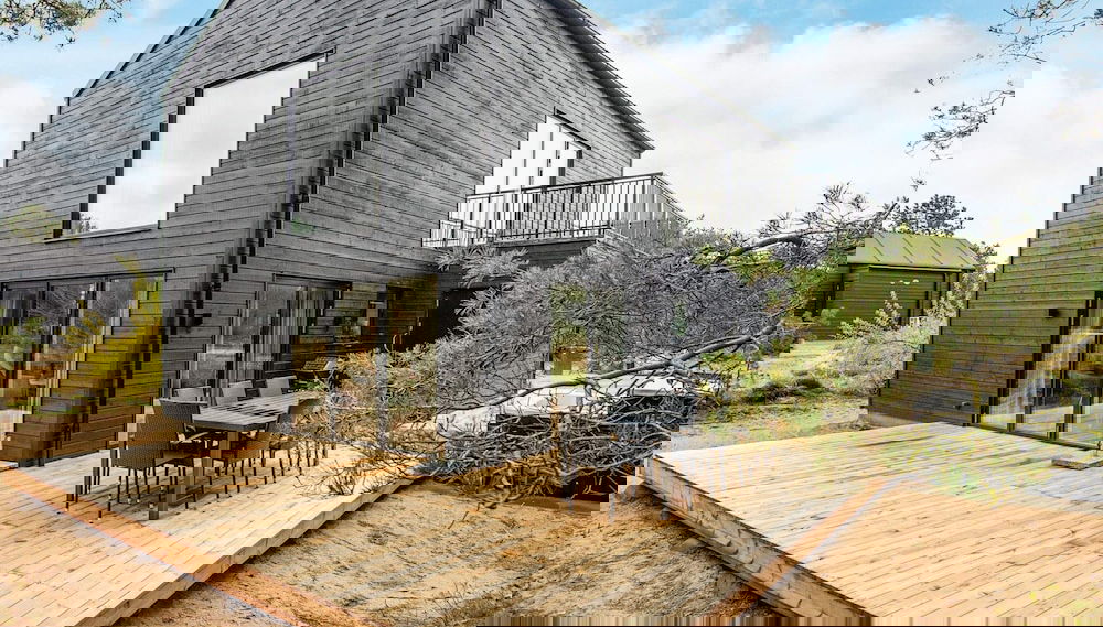 Primary image
