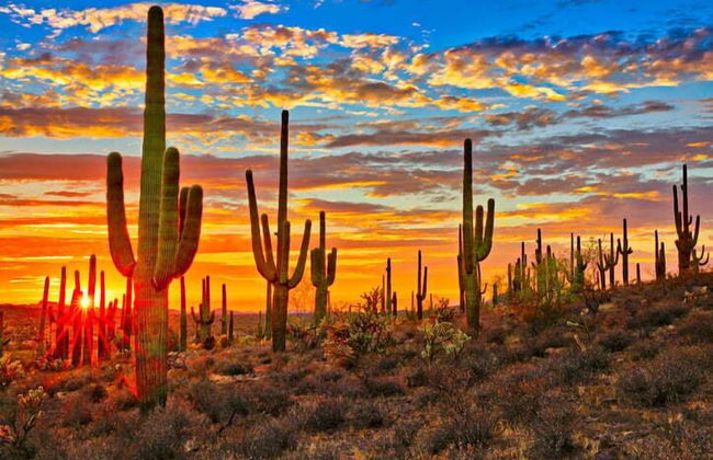 Sonesta Tucson - Foto 18