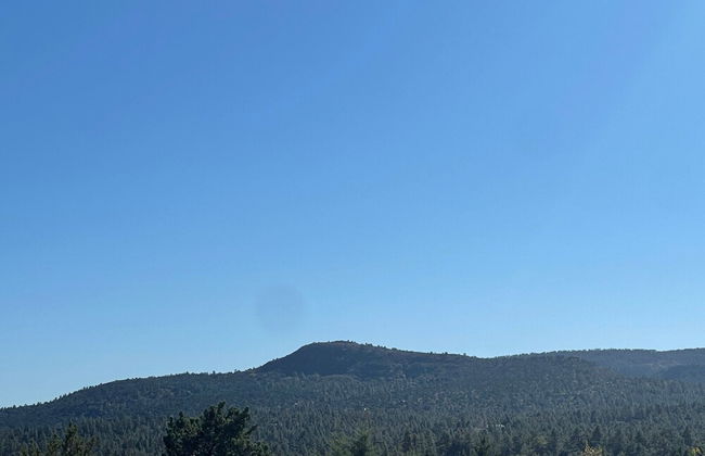 Elk Rim 1156 Pine - Foto 28