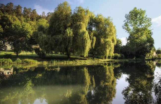 Estate in Dordogne Near Sites - Foto 37