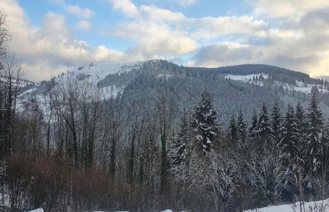 Chalet in La Bresse With Valley Views - Foto 27