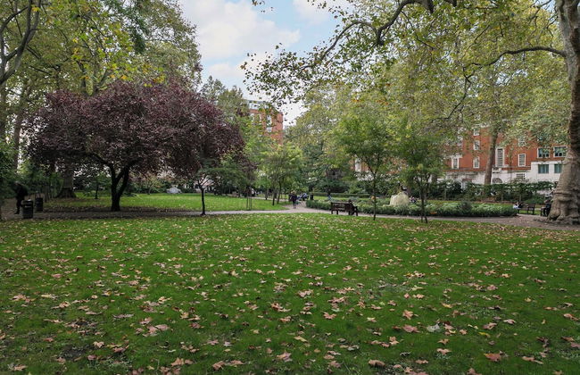 Beautifully Presented Centrally Located Studio apt - Photo 21