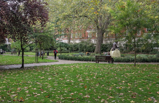 Beautifully Presented Centrally Located Studio apt - Photo 22