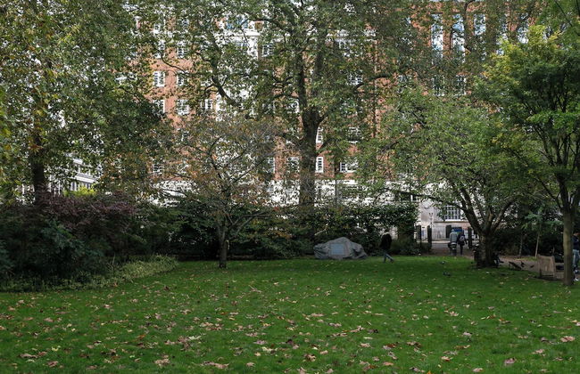 Beautifully Presented Centrally Located Studio apt - Photo 23