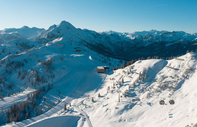Apartment in Kleinarl Near Ski Slopes - Foto 10