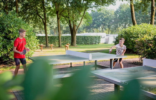 Tiny House in Brabant With Cozy Terrace - Foto 18