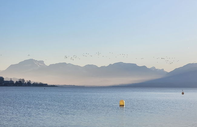 L'Alpage - Photo 47