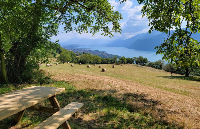 L'Alpage - Photo 45