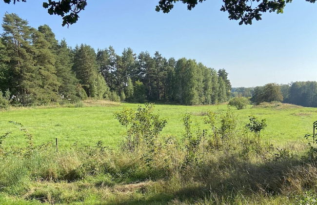 4 Person Holiday Home in Animskog - Photo 18