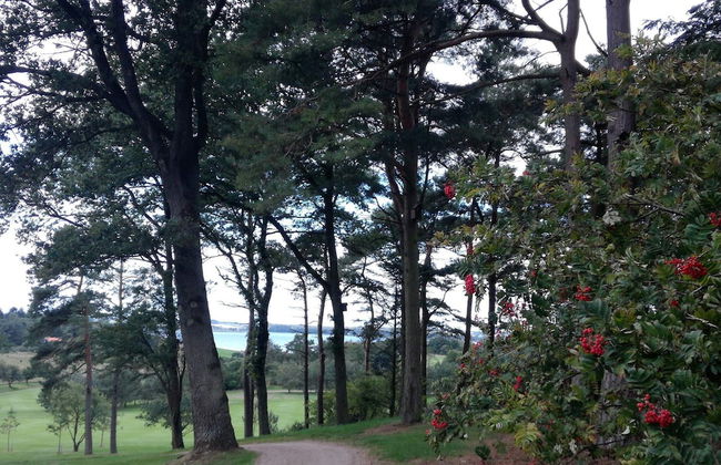 5 Star Holiday Home in Skals - Photo 11