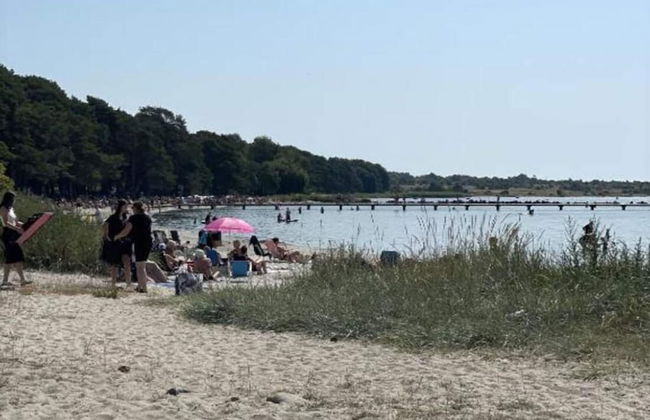 4 Star Holiday Home in Solvesborg - Foto 36
