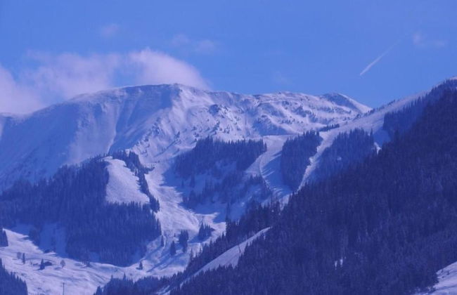 Apartment in Kleinarl Near Ski-area With Balcony & Parking - Foto 71
