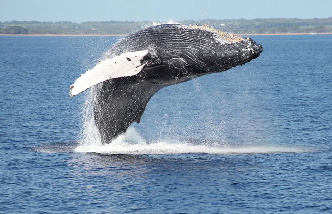 Colony Villas at Waikoloa Beach Resort 204 - Foto 42