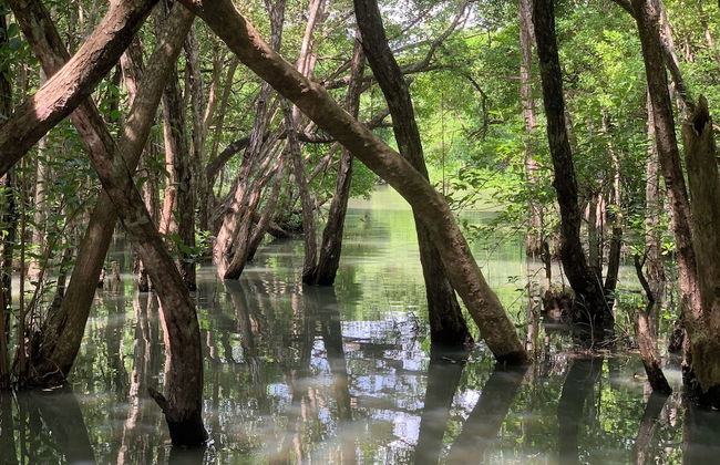 Villa de Lagoon View - Photo 9