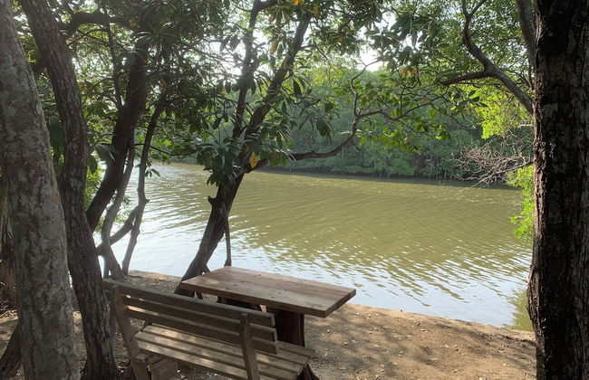 Villa de Lagoon View - Photo 12