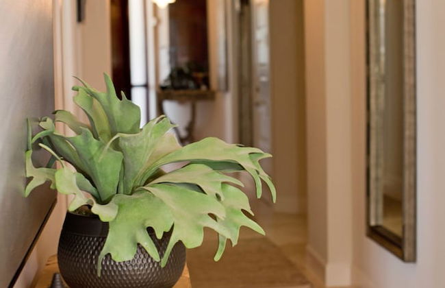 Seabreeze 8 - Luxury 4-bedroom on Seven Mile Beach - Foto 4