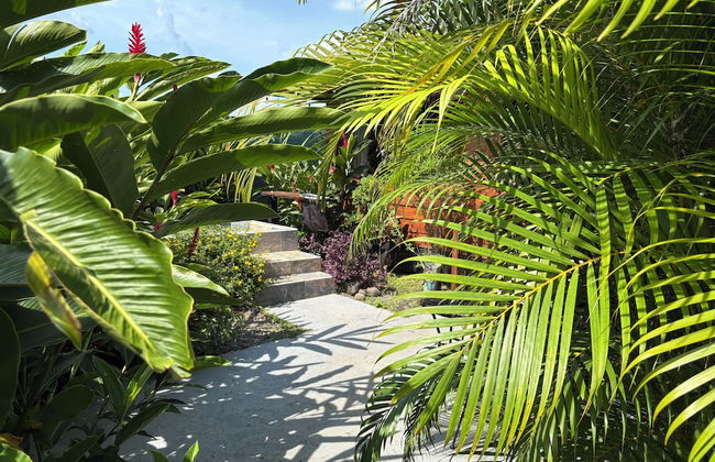 Cabañas Kwepal Costa Rica - Photo 19