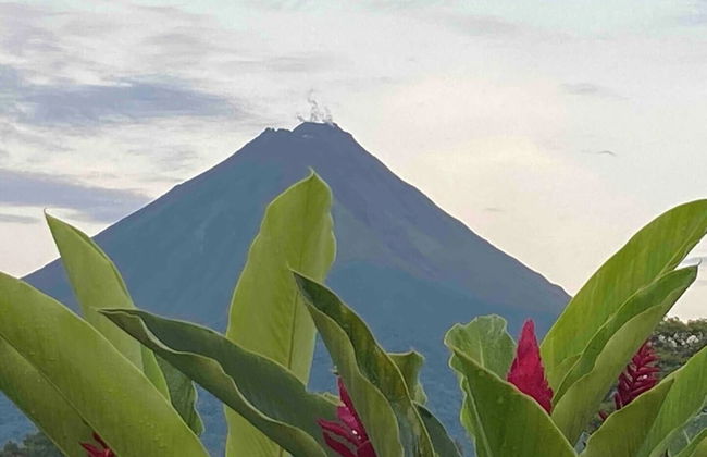 Cabañas Kwepal Costa Rica - Photo 30