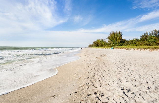 Bird Of Paradise 4 Bedroom Home by RedAwning - Photo 26