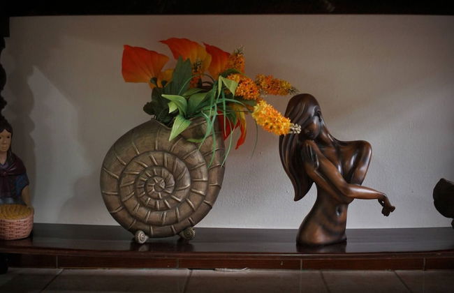 Colonial Elegance in the Heart of Masaya for 8 Guests - Foto 60