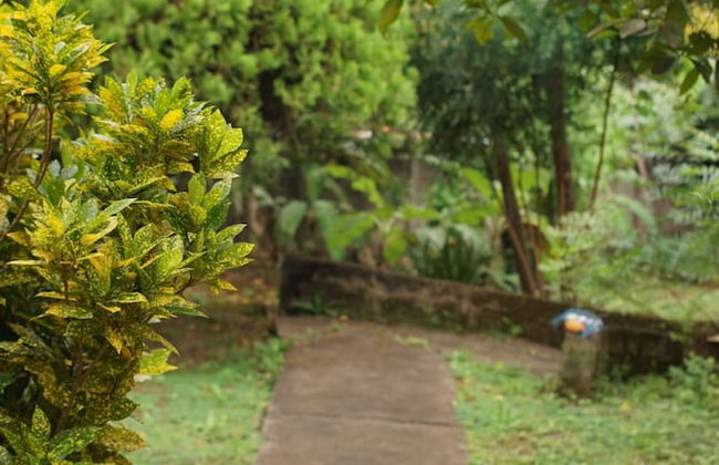 Colonial Elegance in the Heart of Masaya for 8 Guests - Foto 71
