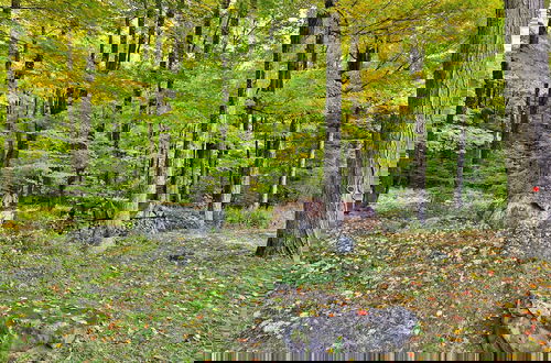 Foto 21 - Forest Mountain Escape: Beautiful Mountaintop Escape In Mendon, Vt. 20 Min To Killington/14 To Pico. 4 Bedroom Home