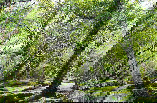 Foto 28 - Forest Palms