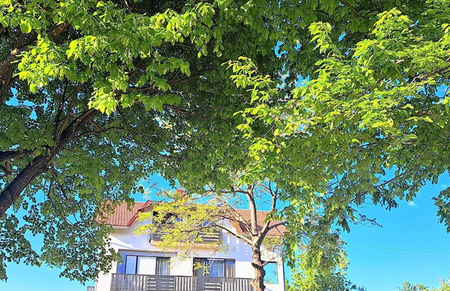 Apartments Villa Mavi - Foto 30