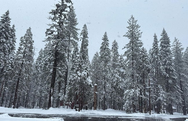 La Veranda - Foto 40