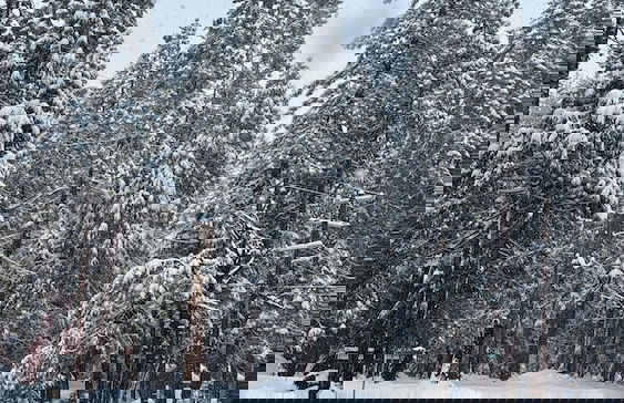 La Veranda - Foto 34