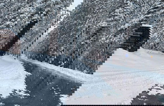 La Veranda - Foto 33