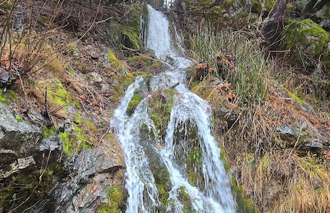 La Veranda - Foto 25