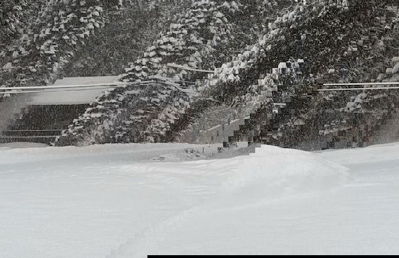 La Veranda - Foto 31