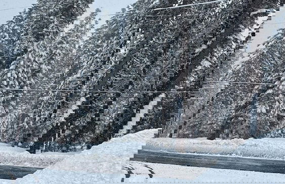 La Veranda - Foto 39