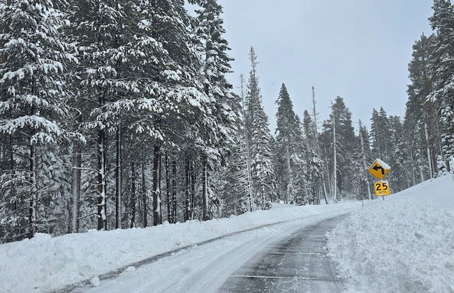 La Veranda - Foto 27