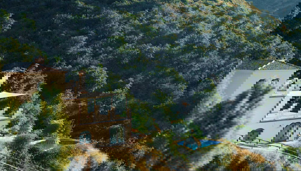 Primary image